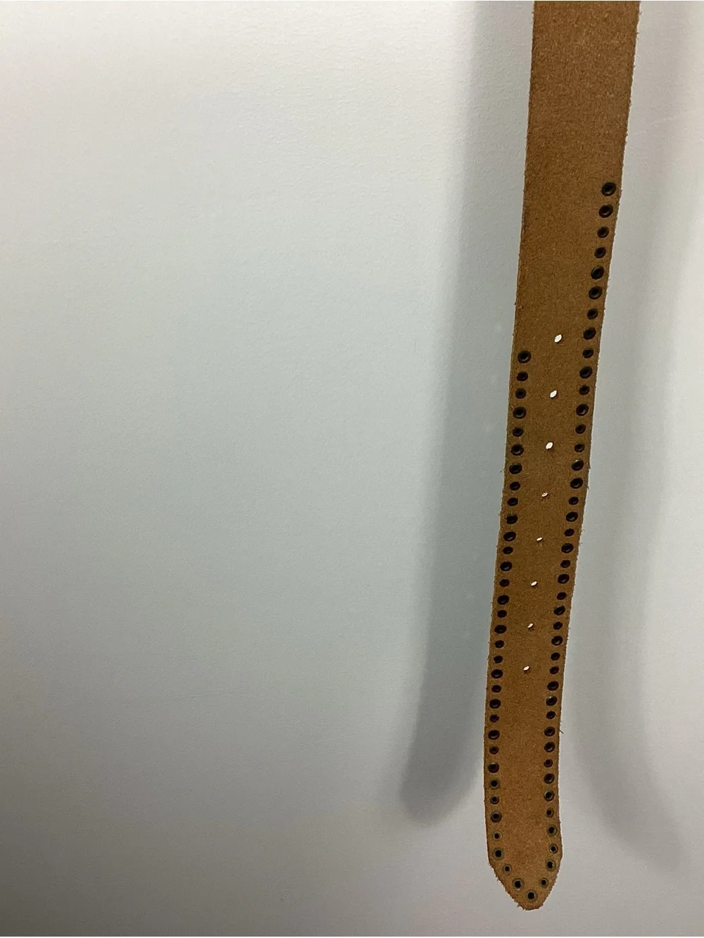 Ed Hardy Live To Ride Belt Size XS